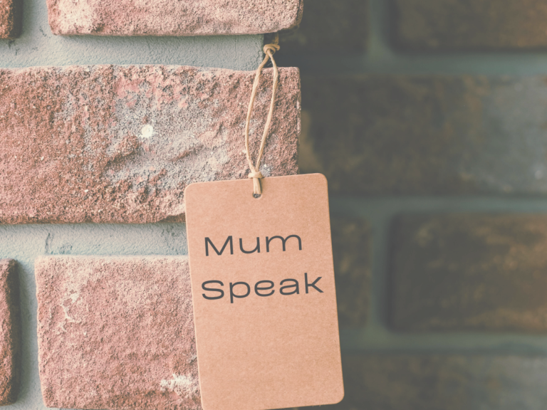 Mum Speak Brick Pic (2)